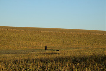 Lady walking her dog in nature