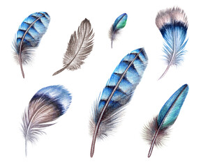 watercolor illustration, blue boho feather, easter clip art, tribal assorted design elements, isolated on white background