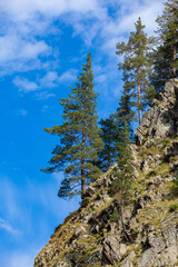 The forested mountains against the blue sky. Georgia