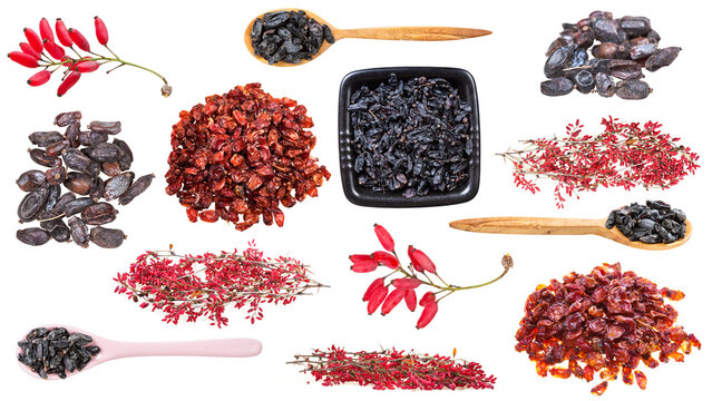 set of various barberry fruits isolated on white