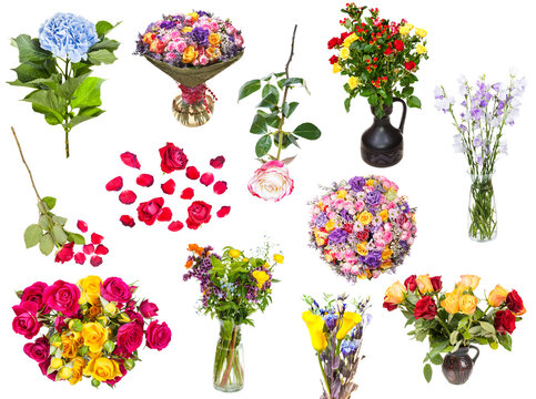 set of various blooms and bouquets of flowers