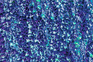 Grapes leaves wall. neon background