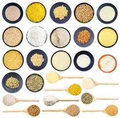 set of various raw and cooked common wheat grains
