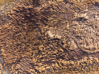 Abstract aerial drone view with wet green field