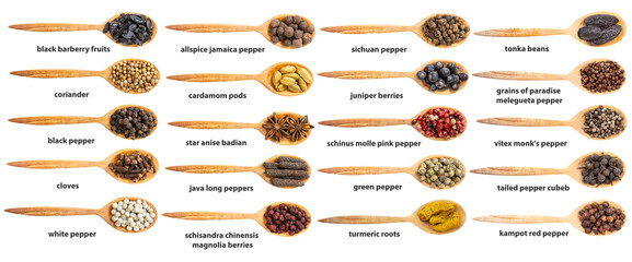 set of top view of wood spoon with various spices