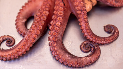 Cooked octopus with steel bottom, intelligent animal
