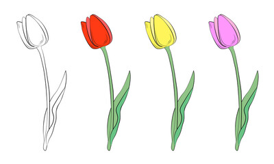 A group of tulips with different bud colors. Spring flowers. Women's flowers. Delicate shades for tulips. Gift flowers