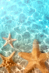 Fototapeta na wymiar Starfish on the summer beach in sea water. Summer background.