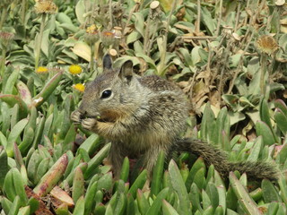 breakfast in the morning sun 