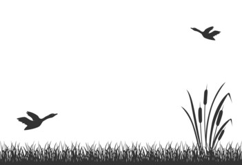 Black silhouette of swamp grass with reeds and flying ducks. Lake reed, background. - obrazy, fototapety, plakaty