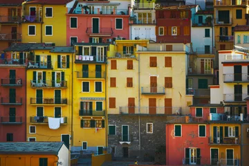 Fototapeten Manarola village, colorful pattern of houses. Cinque Terre, Italy. © stevanzz