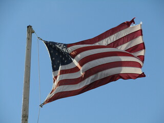 contemplative musing 