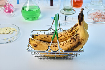 Bananas in metal basket - labs photo. Two yellow ripe bananas in metallic toy basket. Food control laboratory of fruit safety. Chemical expertize of exotic fruits for GMO nutriments. Diet analysis.