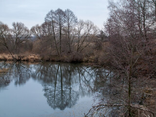 Obraz premium the bank of a small forest river on a cloudy day