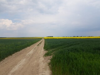 View of the countryside