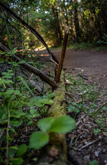 Patagonia Argentina, Lagos y montañas  