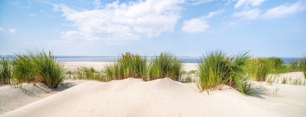Dune beach panorama in summer