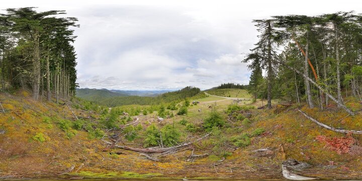 Castle Rock clearcut