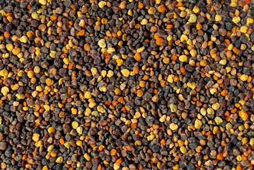 Pile of bee pollen on white