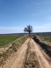 Chillout in countryside