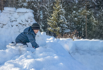 Fototapeta na wymiar Making a snow fortress in deep snowdrift in a backyard near the forest in sunny winter day.