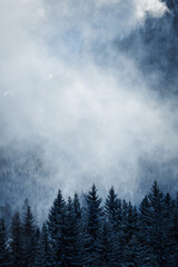 Fototapeta na wymiar Wetterstein - winter landscape with snow covered mountains, forest and dramatic fog