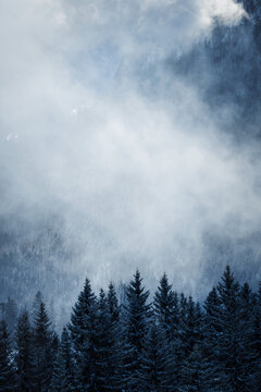 Wetterstein - winter landscape with snow covered mountains, forest and dramatic fog