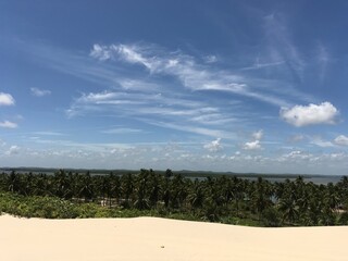Mangue seco - Bahia