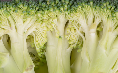 Green and fresh broccoli vegetable stem macro shot .