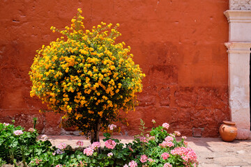 Monastery of Santa Catalina de Siena in Arequip, Peru.
