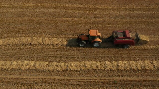 traktor na polu robi słome, słoma