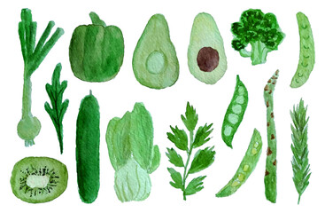 a set of green vegetables and fruits watercolor hand drawn