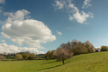 paysage de campagne dans le Brionnais en Saône-et-Loire en France au printemps