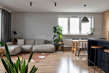 Spacious living room in modern interior with window, comfortable sofa, dining table with chairs and green plants. Wooden floor with leather in new apartment at home. 