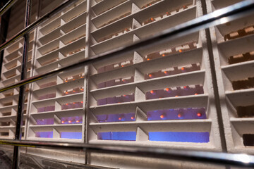 Close-up of a domestic wall heater. Gas blue flame on a low heat setting, to save energy and money. Concept for cost of living, higher bills, fuel crisis and heating the home.