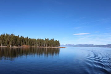 Fototapeta premium Forest and Lake Scene