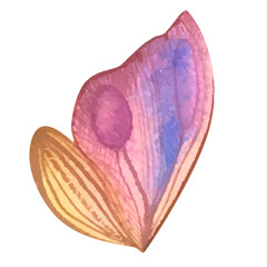 Retro watercolor butterfly wing, great design for any purposes.