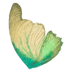 Retro watercolor butterfly wing, great design for any purposes.