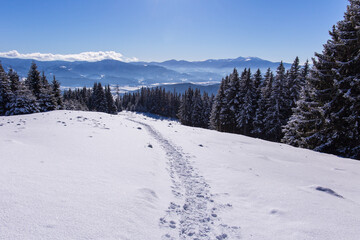 Fototapeta na wymiar Idyllic winter landscape in the Seckauer Alpen in Austria