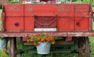 An Amish farm wagon with steel wheels decorated with a hanging, galvanized bucket displaying a profusion of orange petunias.