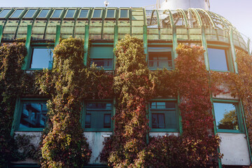 building with plants