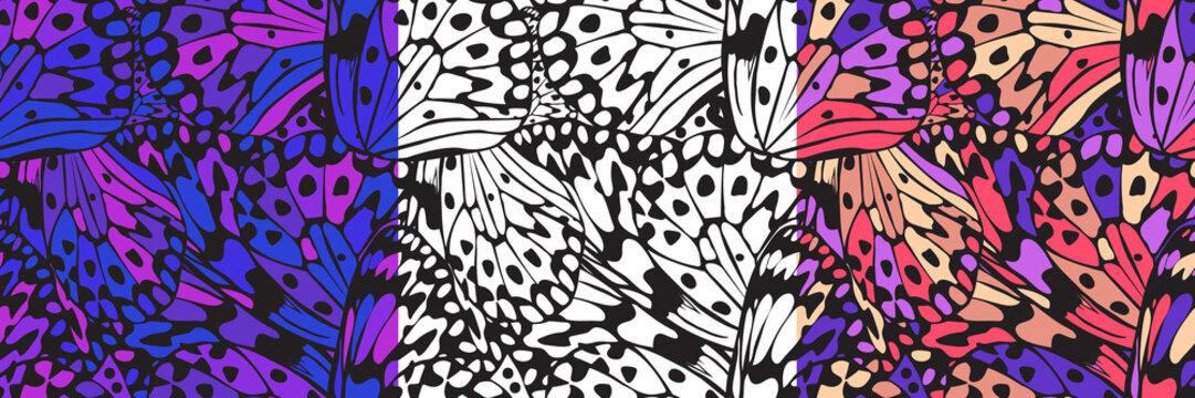 Vector seamless pattern with a wing of a butterfly, three color variations.