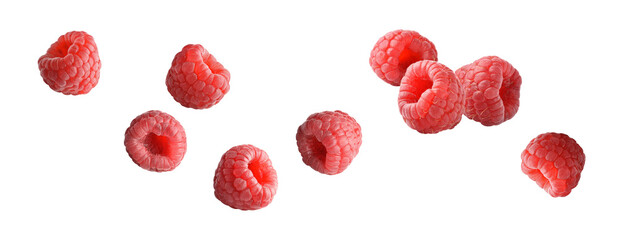 raspberry fly red berry on white - obrazy, fototapety, plakaty