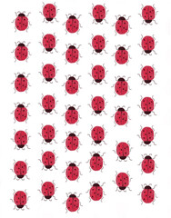 red roses background