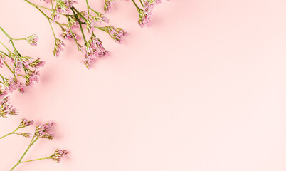twigs with flowers on a pink background