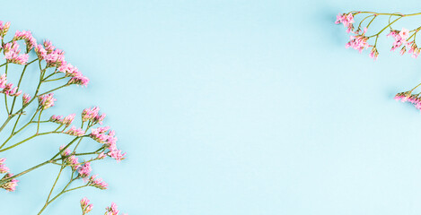 twigs with pink flowers on a light blue background