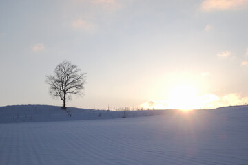 sunset on snowy field