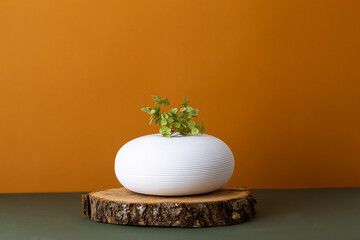 Obraz na płótnie Canvas Green flower in a white vase on a wooden stand. Still life