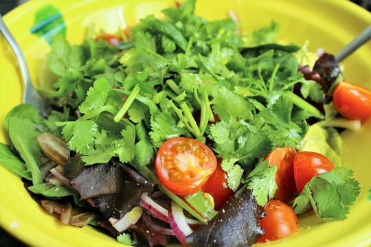 Close up vegetarian salad blow. stock photo top view 