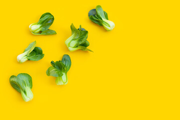 Fototapeta premium Bok choy on yellow background.